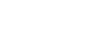 logo w2x